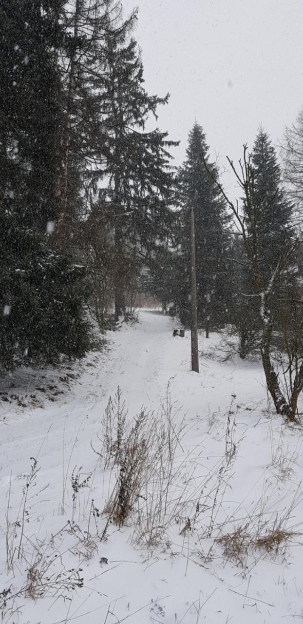 Chata Na Kovarne Rýmařov Екстериор снимка